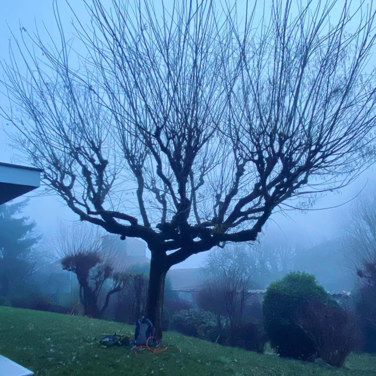 Instagram post from des_racines_a_la_cime. This post is in position 0.