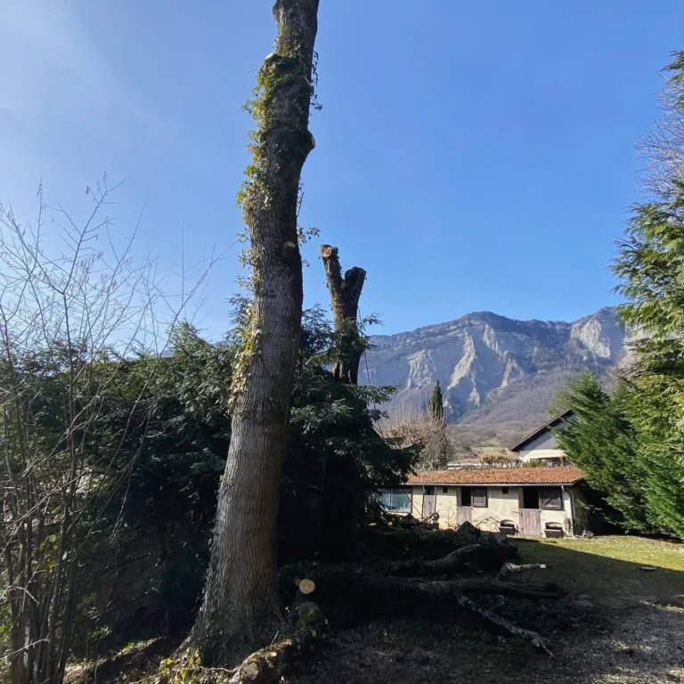 Instagram post from des_racines_a_la_cime. This post is in position 6.