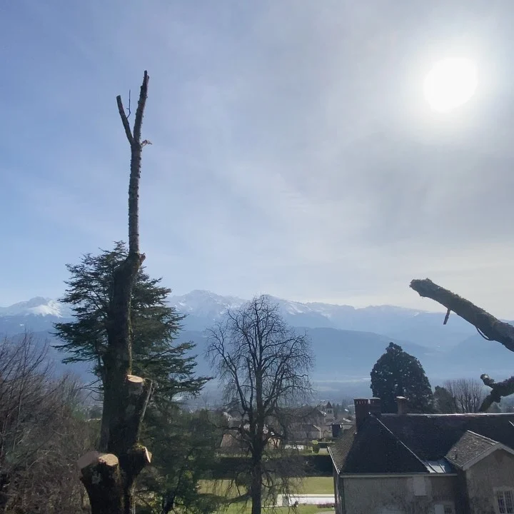 Instagram post from des_racines_a_la_cime. This post is in position 3.