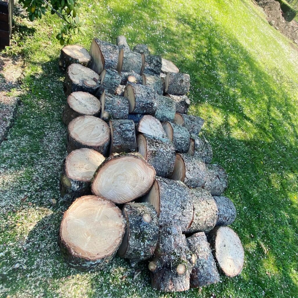 Instagram post from des_racines_a_la_cime. This post is in position 7.