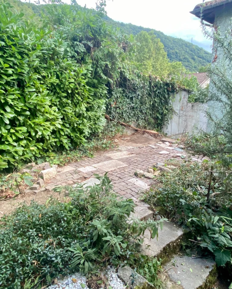 Instagram post from des_racines_a_la_cime. This post is in position 2.