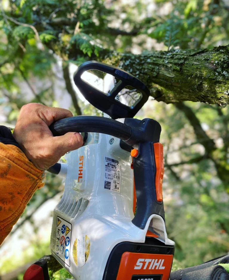 Instagram post from des_racines_a_la_cime. This post is in position 19.