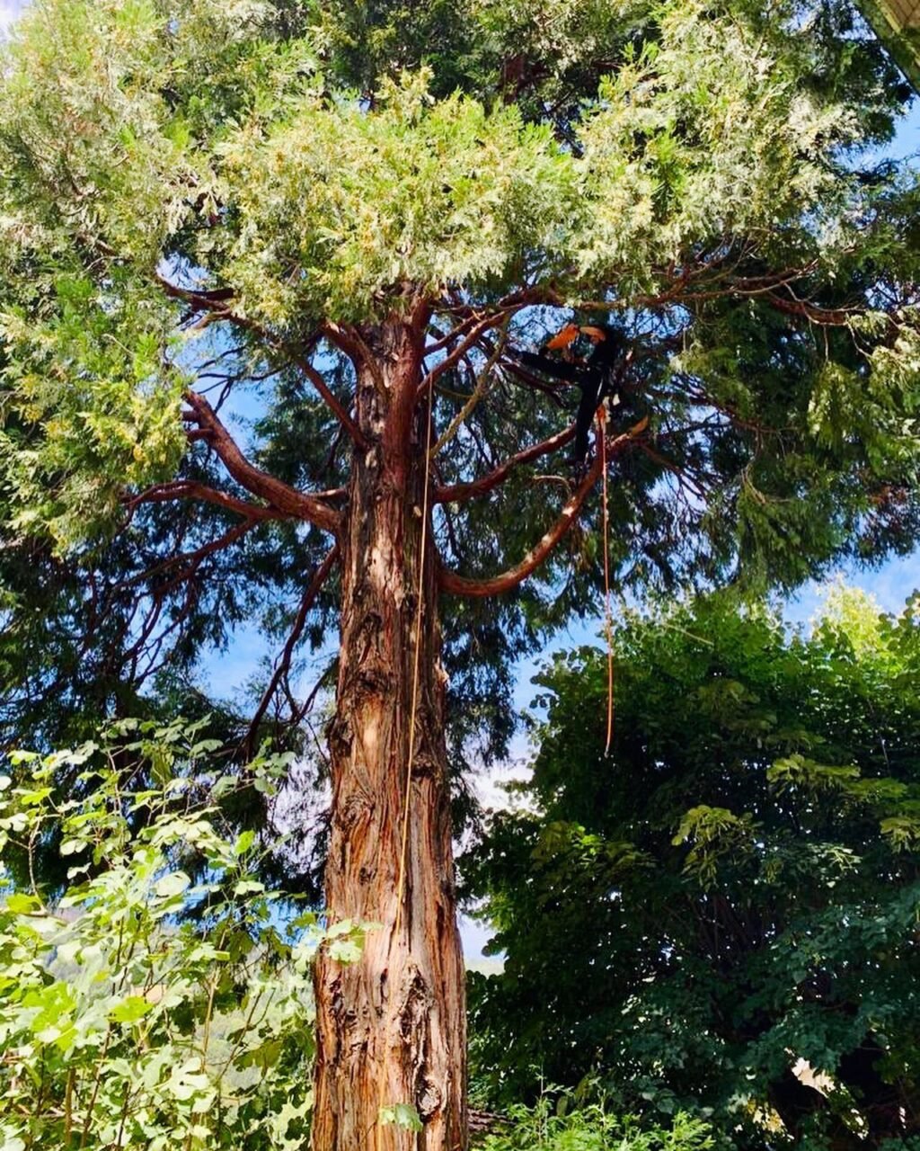 Instagram post from des_racines_a_la_cime. This post is in position 20.