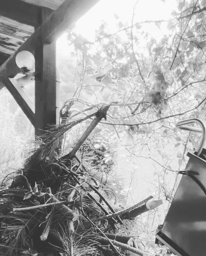 Instagram post from des_racines_a_la_cime. This post is in position 3.