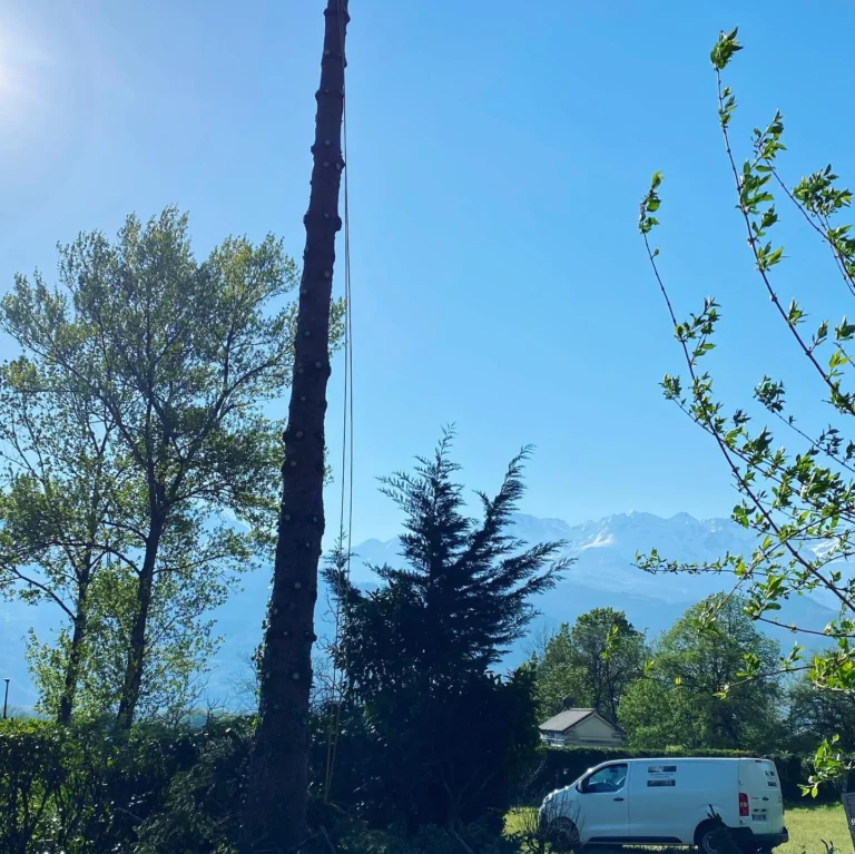 Instagram post from des_racines_a_la_cime. This post is in position 1.