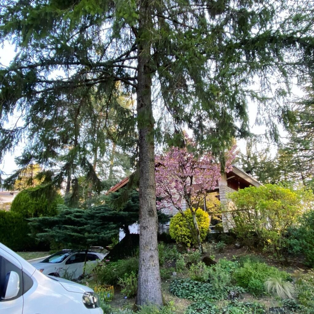 Instagram post from des_racines_a_la_cime. This post is in position 4.