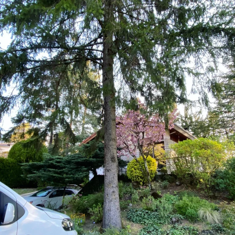 Instagram post from des_racines_a_la_cime. This post is in position 4.