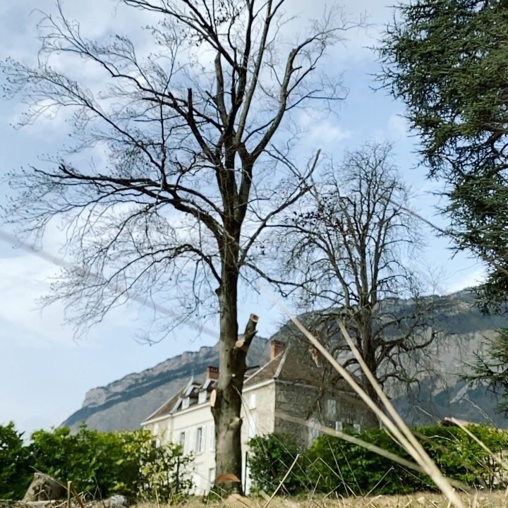 Instagram post from des_racines_a_la_cime. This post is in position 1.