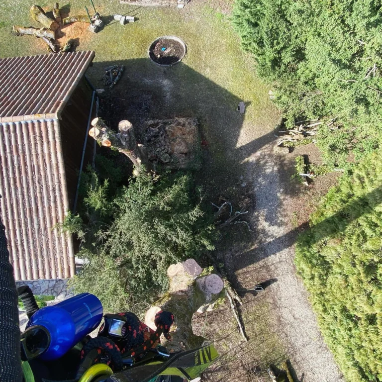 Instagram post from des_racines_a_la_cime. This post is in position 5.