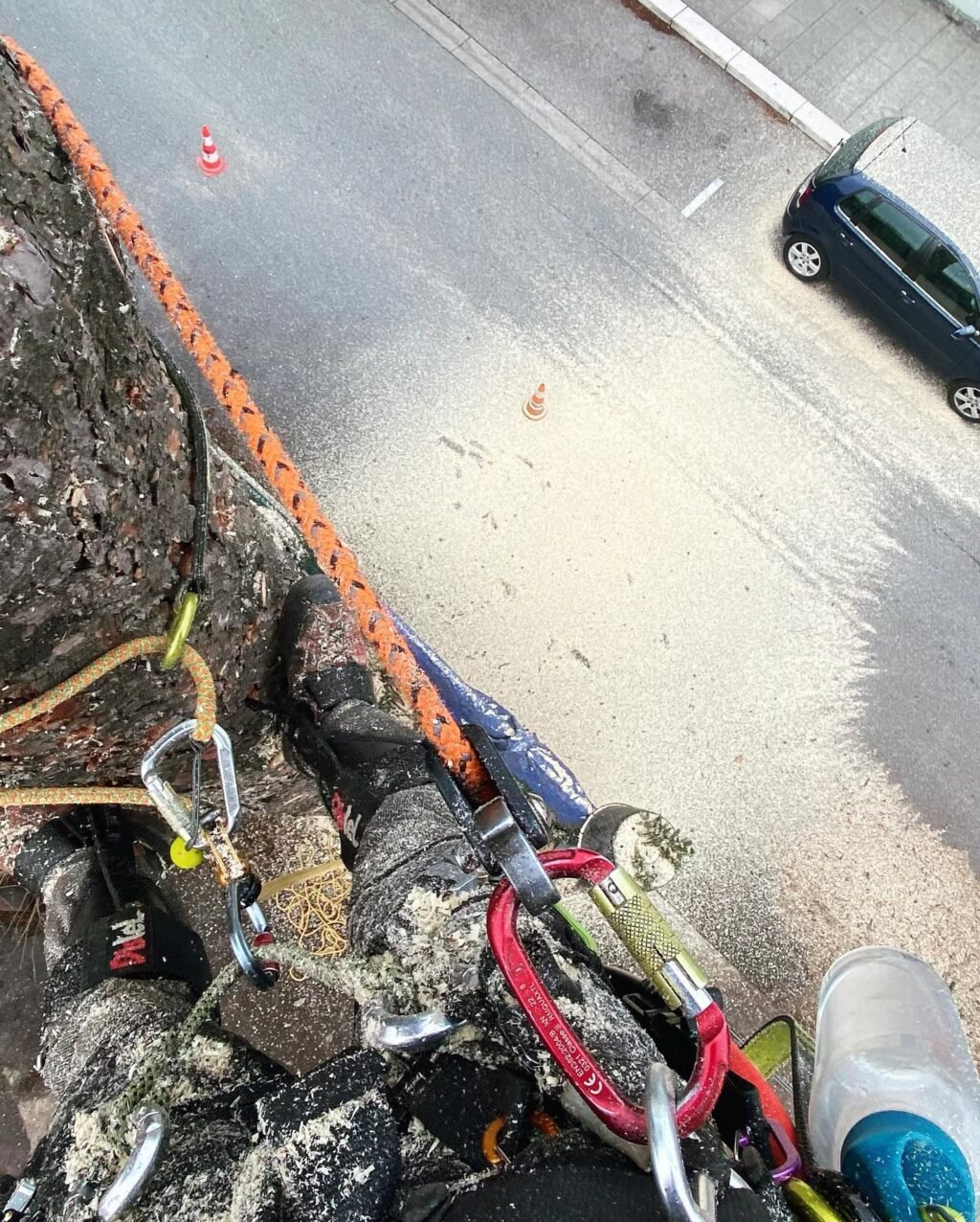 Instagram post from des_racines_a_la_cime. This post is in position 2.