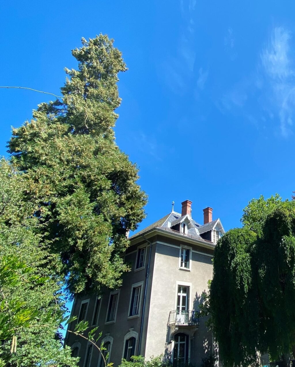 Instagram post from des_racines_a_la_cime. This post is in position 3.