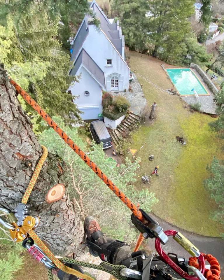 Instagram post from des_racines_a_la_cime. This post is in position 14.