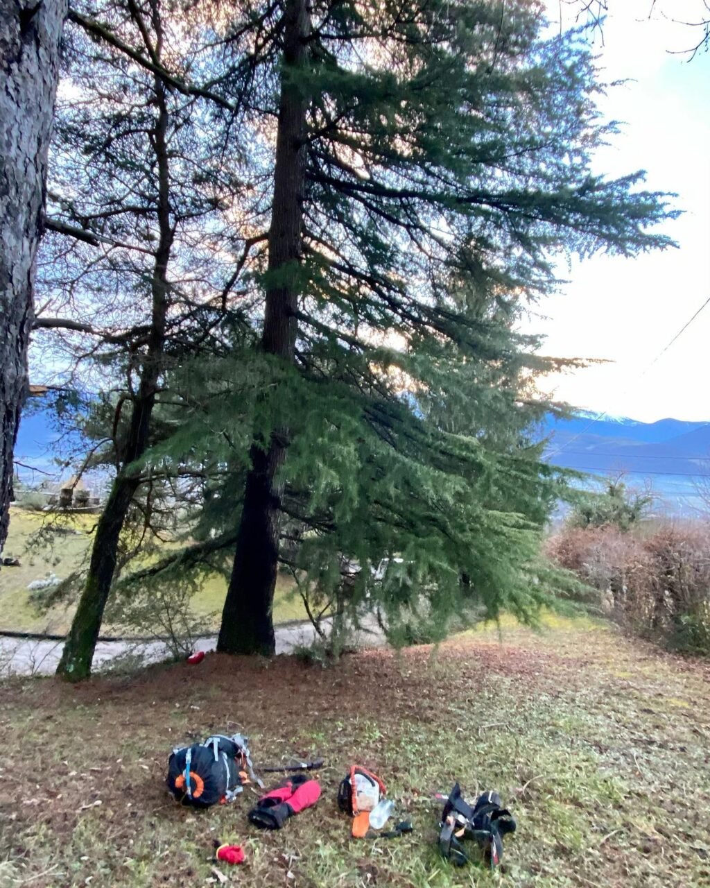 Instagram post from des_racines_a_la_cime. This post is in position 1.