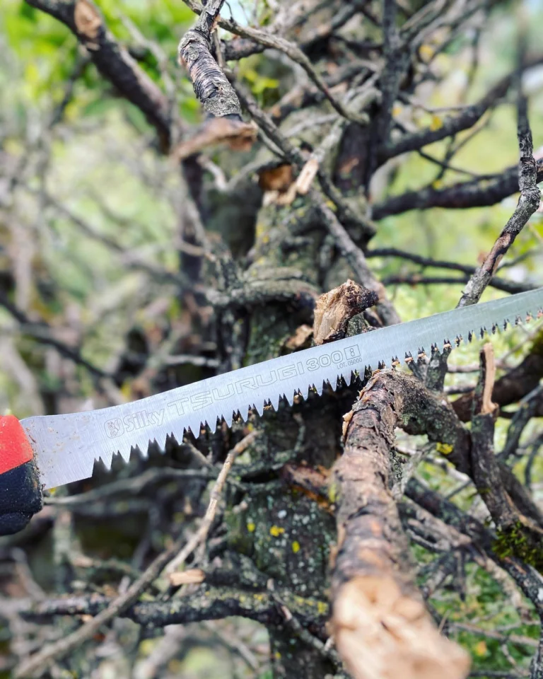 Instagram post from des_racines_a_la_cime. This post is in position 0.