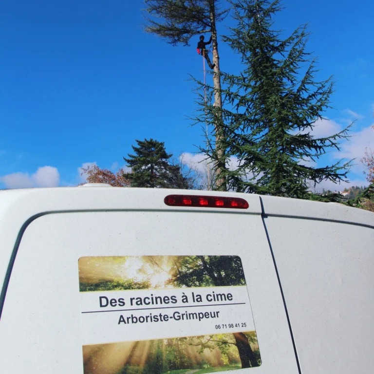 Instagram post from des_racines_a_la_cime. This post is in position 4.