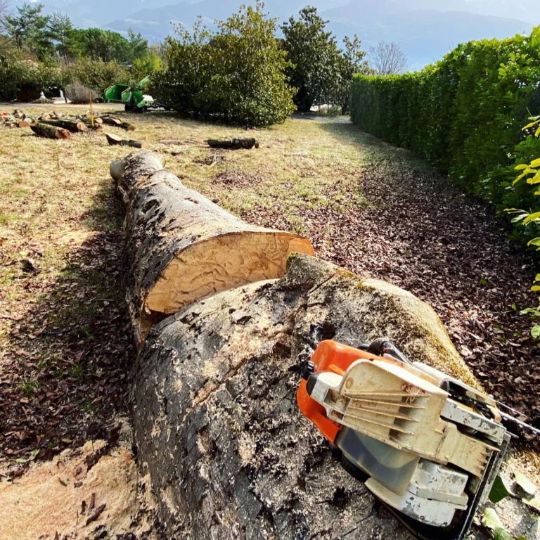 Instagram post from des_racines_a_la_cime. This post is in position 0.