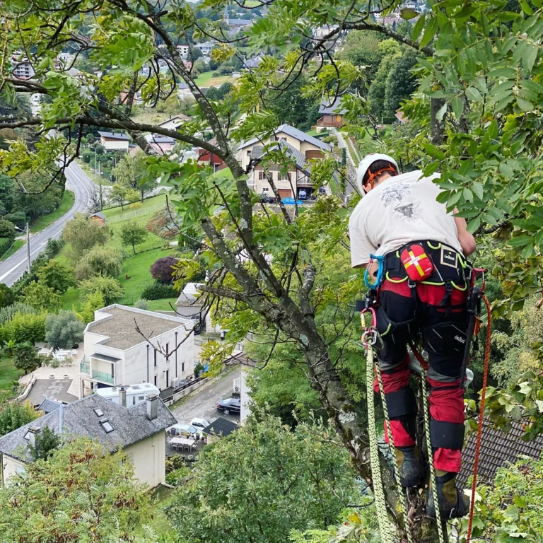 Instagram post from des_racines_a_la_cime. This post is in position 15.