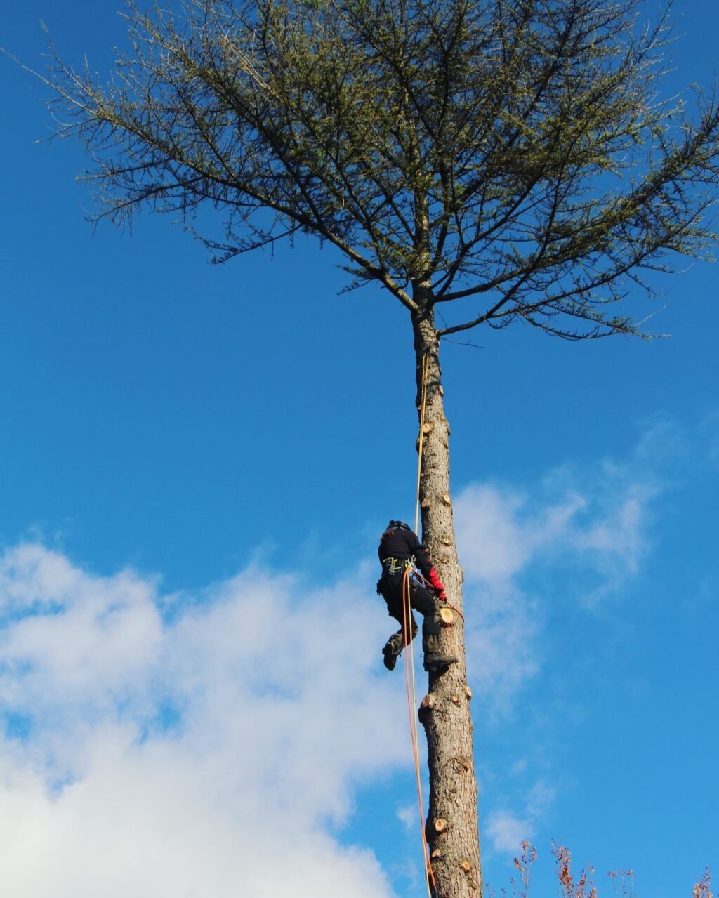 Instagram post from des_racines_a_la_cime. This post is in position 3.