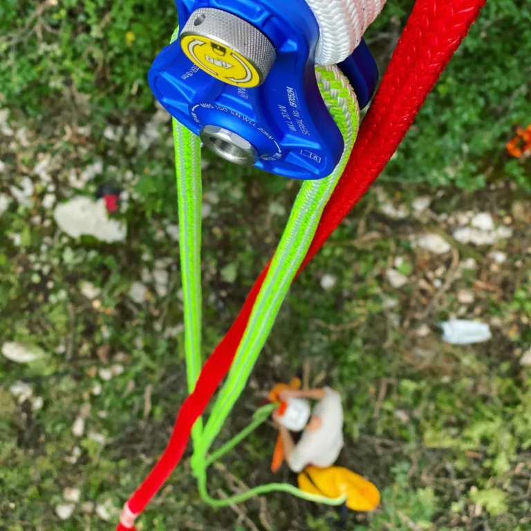 Instagram post from des_racines_a_la_cime. This post is in position 4.