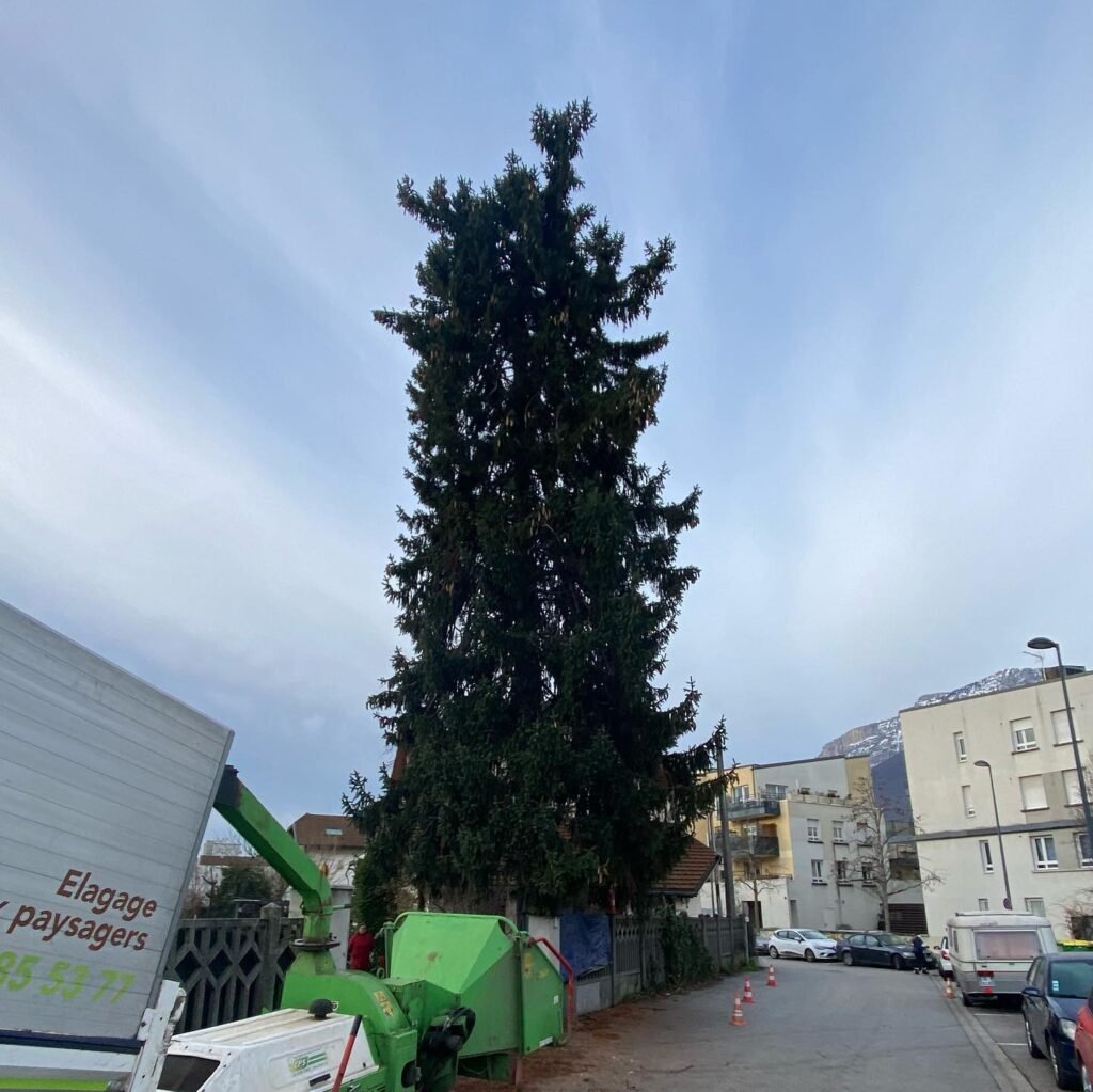 Instagram post from des_racines_a_la_cime. This post is in position 0.