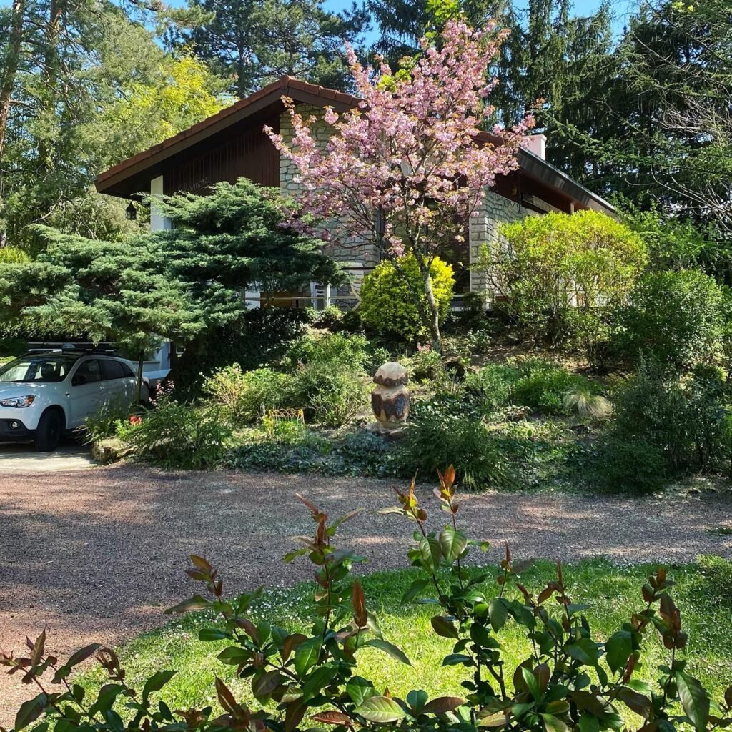 Instagram post from des_racines_a_la_cime. This post is in position 0.