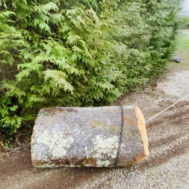 Instagram post from des_racines_a_la_cime. This post is in position 7.