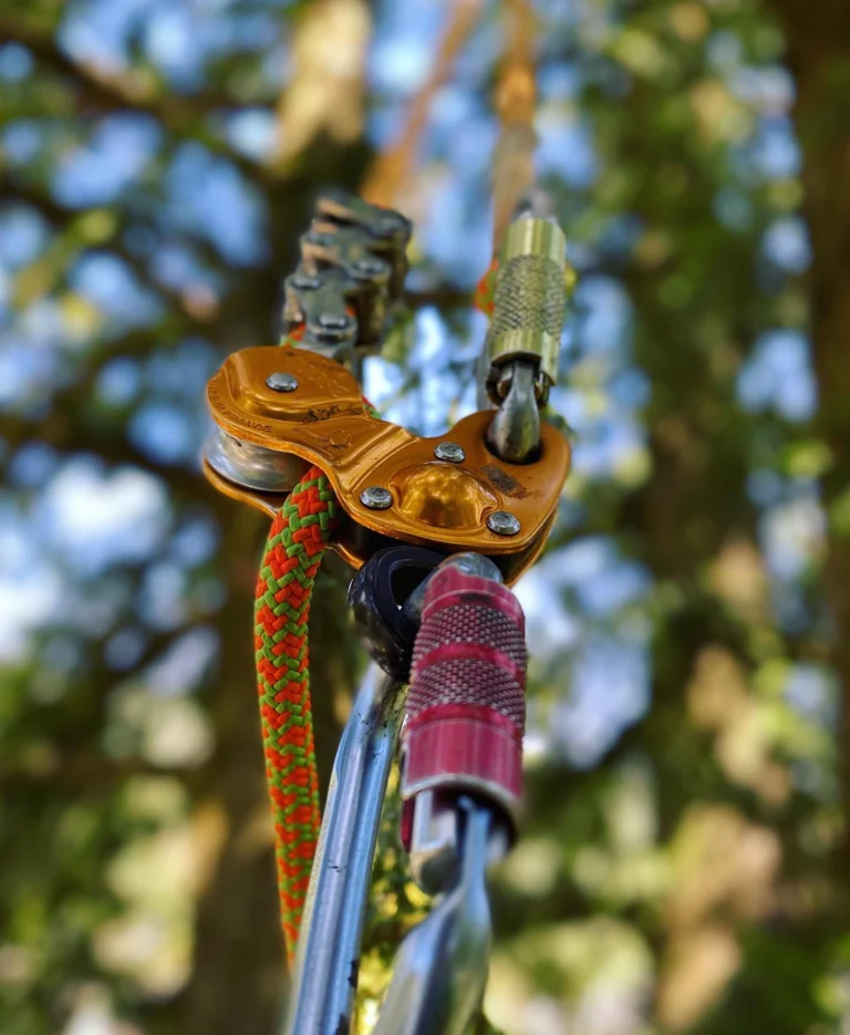 Instagram post from des_racines_a_la_cime. This post is in position 1.