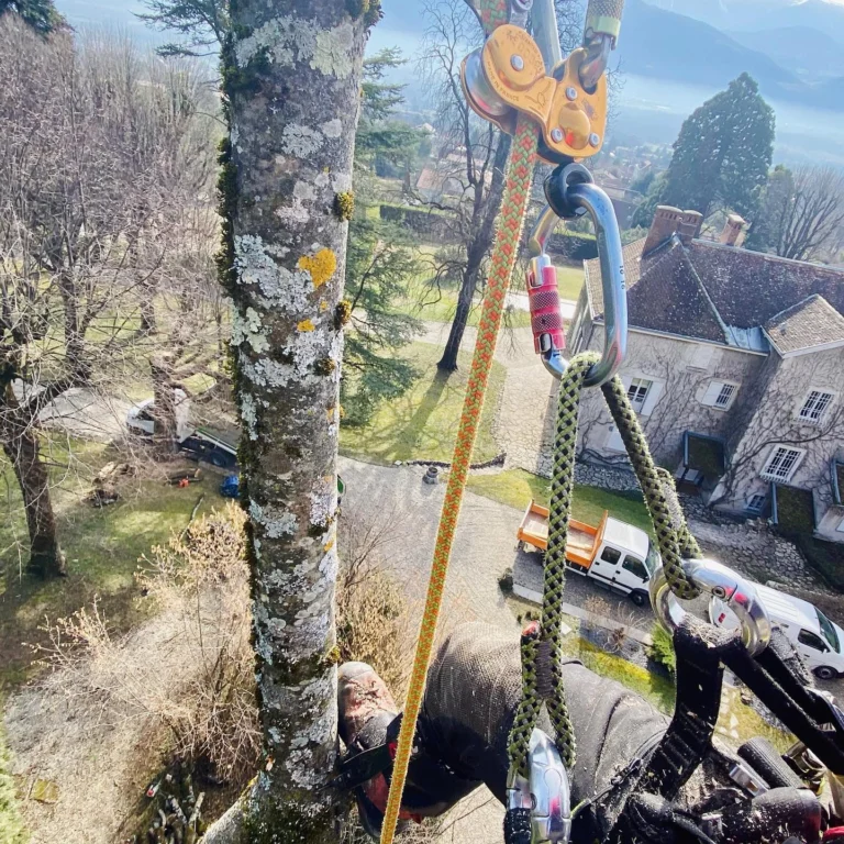 Instagram post from des_racines_a_la_cime. This post is in position 2.