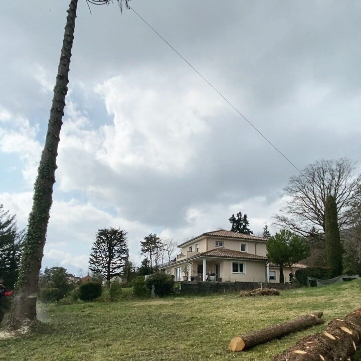 Instagram post from des_racines_a_la_cime. This post is in position 1.