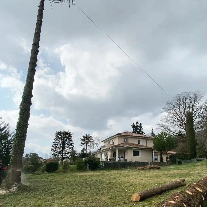 Instagram post from des_racines_a_la_cime. This post is in position 1.