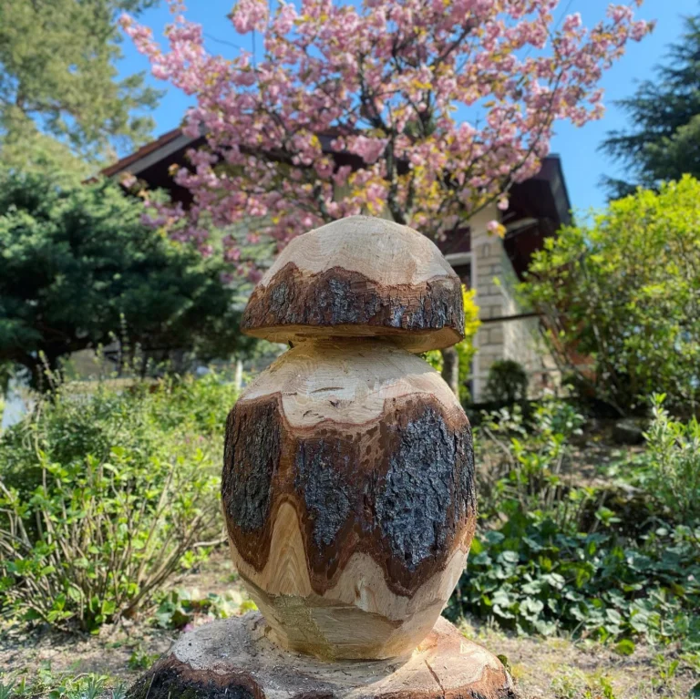 Instagram post from des_racines_a_la_cime. This post is in position 1.