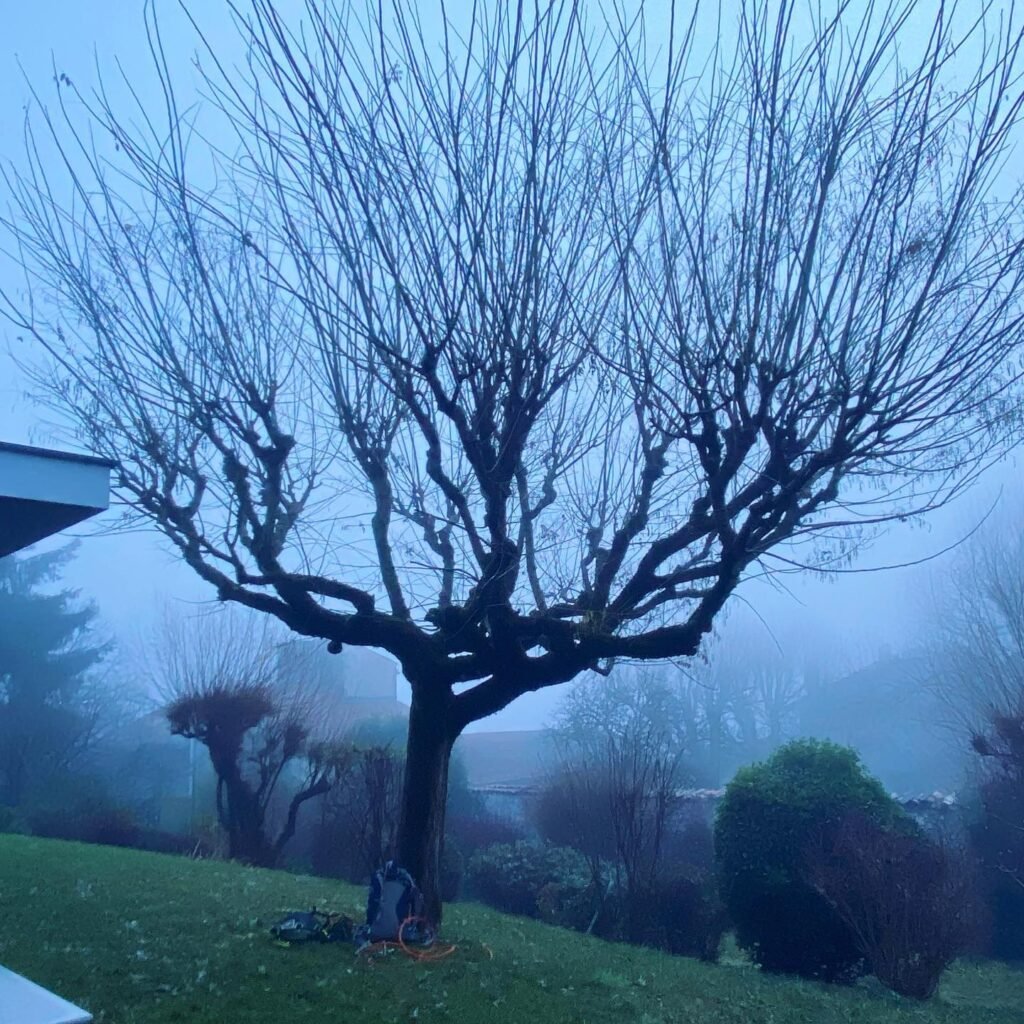 Instagram post from des_racines_a_la_cime. This post is in position 8.