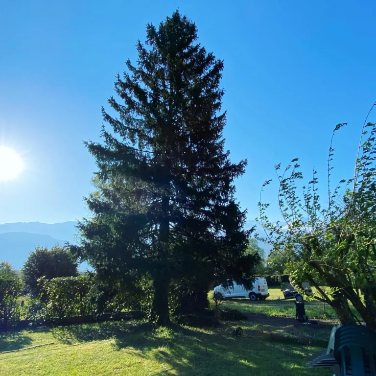 Instagram post from des_racines_a_la_cime. This post is in position 11.