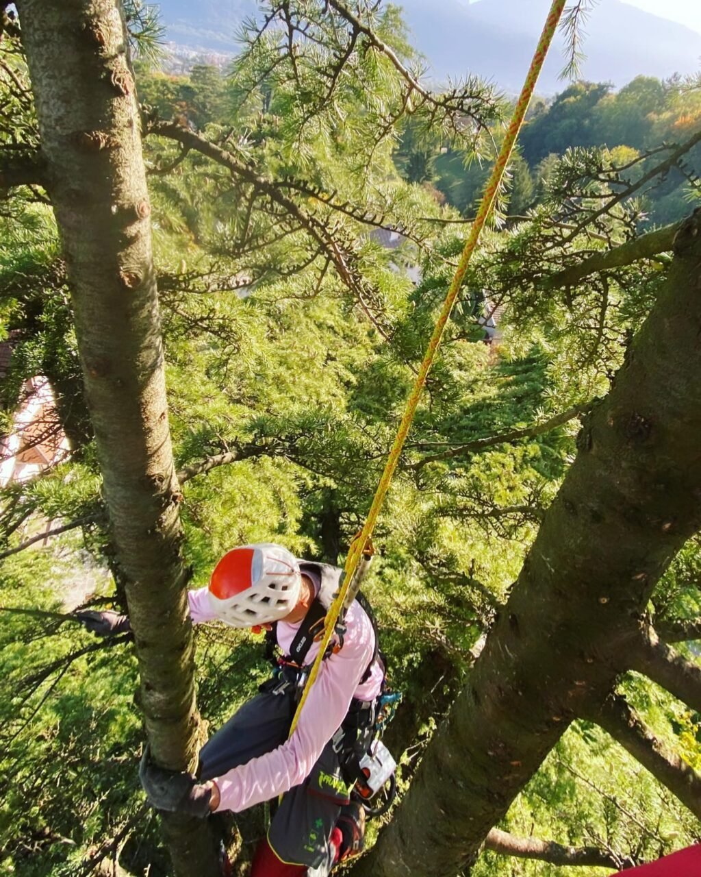 Instagram post from des_racines_a_la_cime. This post is in position 5.