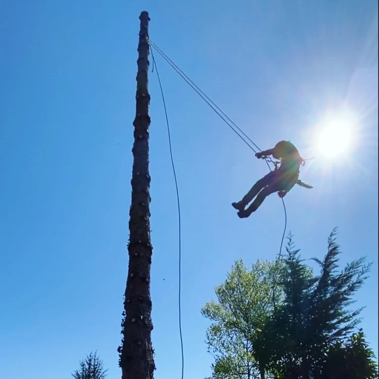 Instagram post from des_racines_a_la_cime. This post is in position 2.