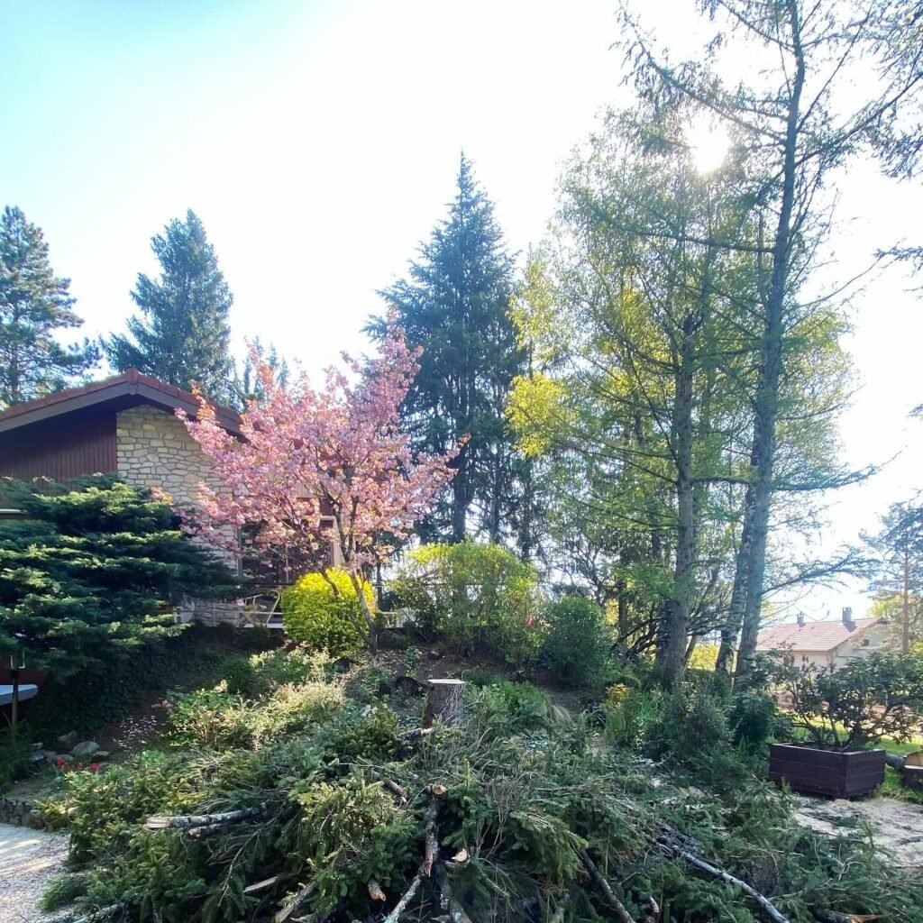 Instagram post from des_racines_a_la_cime. This post is in position 6.