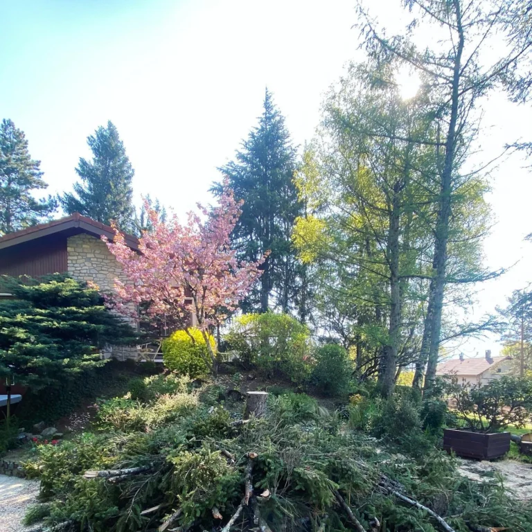 Instagram post from des_racines_a_la_cime. This post is in position 6.