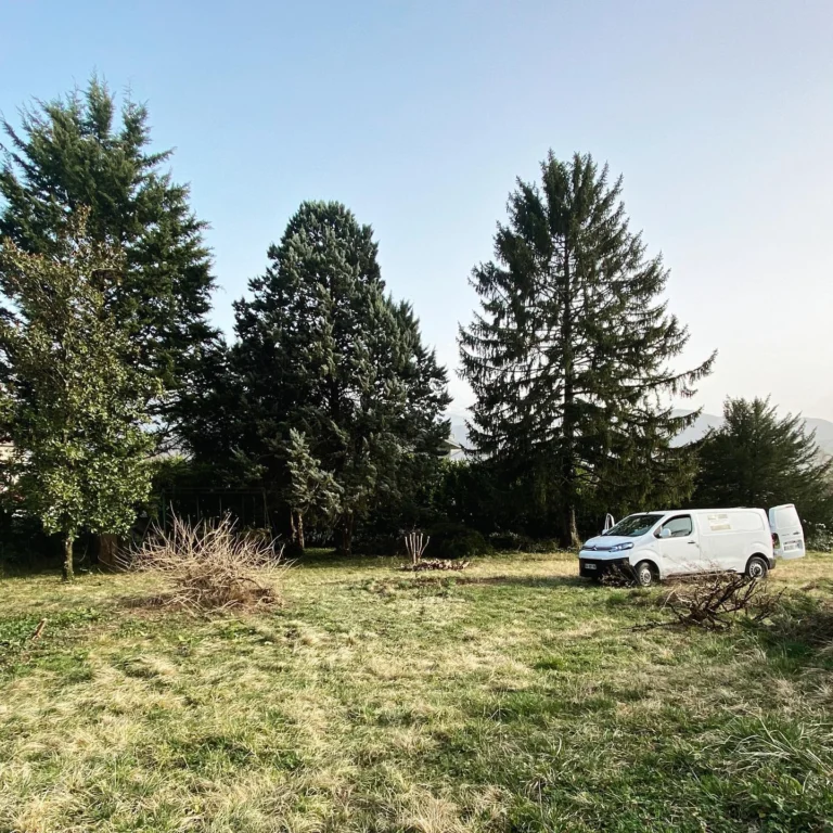 Instagram post from des_racines_a_la_cime. This post is in position 6.