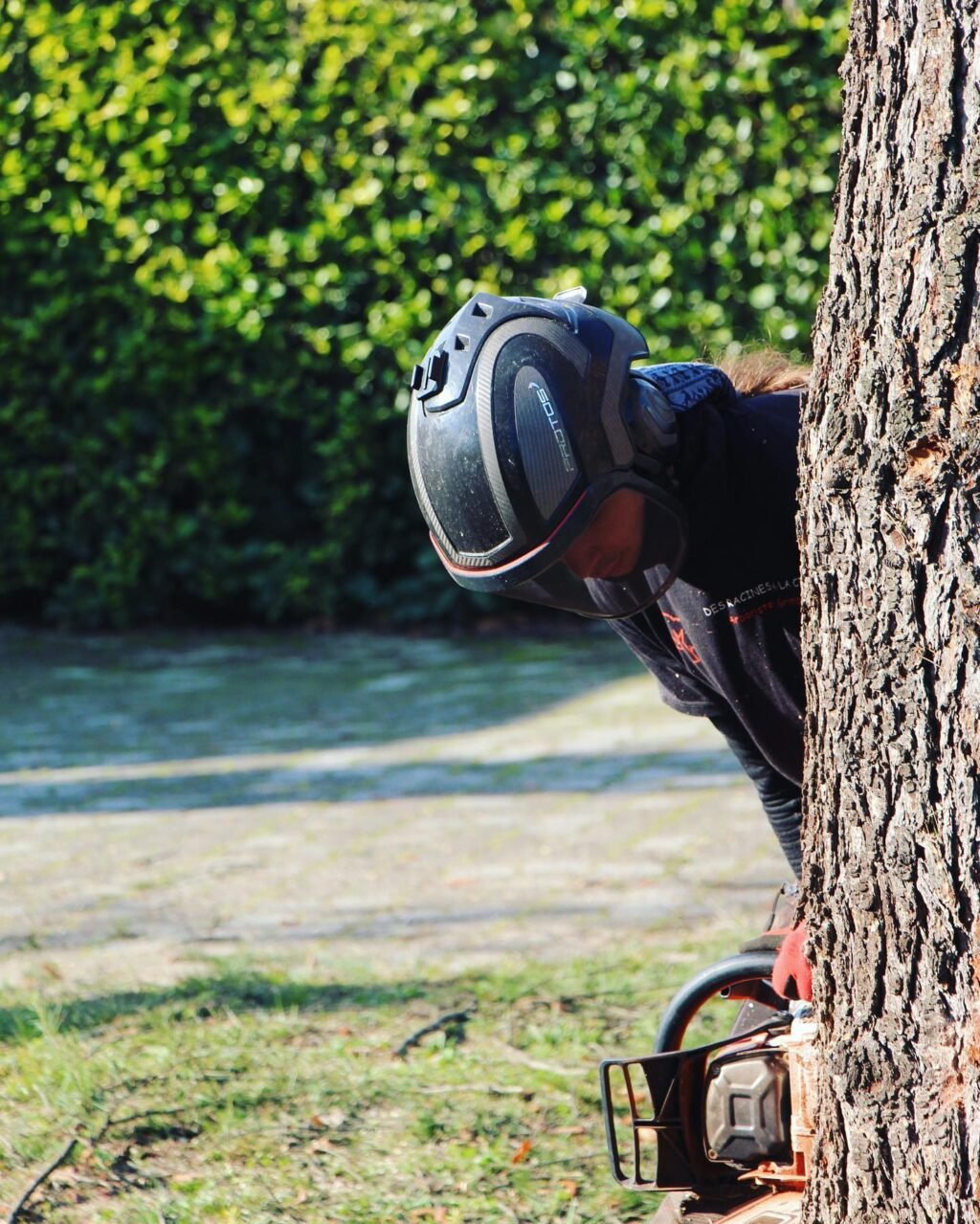 Instagram post from des_racines_a_la_cime. This post is in position 2.