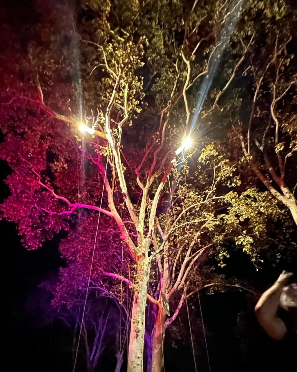 Instagram post from des_racines_a_la_cime. This post is in position 3.