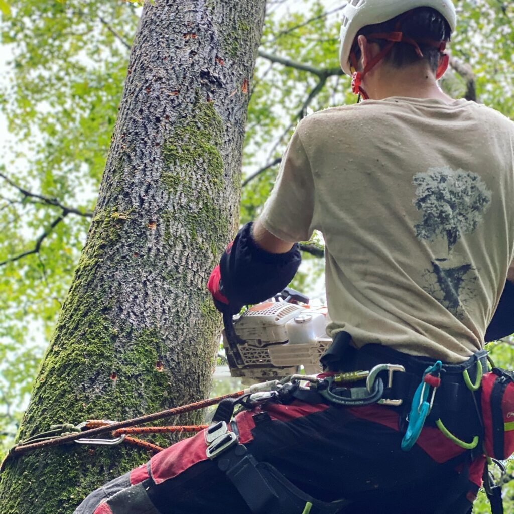 Instagram post from des_racines_a_la_cime. This post is in position 7.