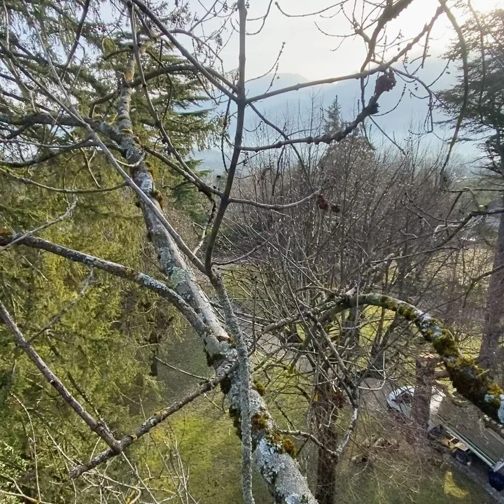 Instagram post from des_racines_a_la_cime. This post is in position 1.