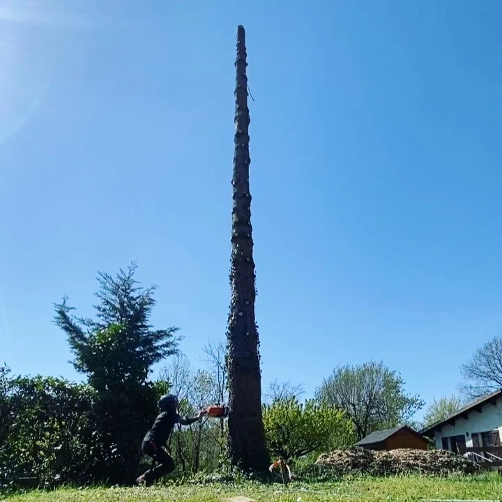 Instagram post from des_racines_a_la_cime. This post is in position 3.