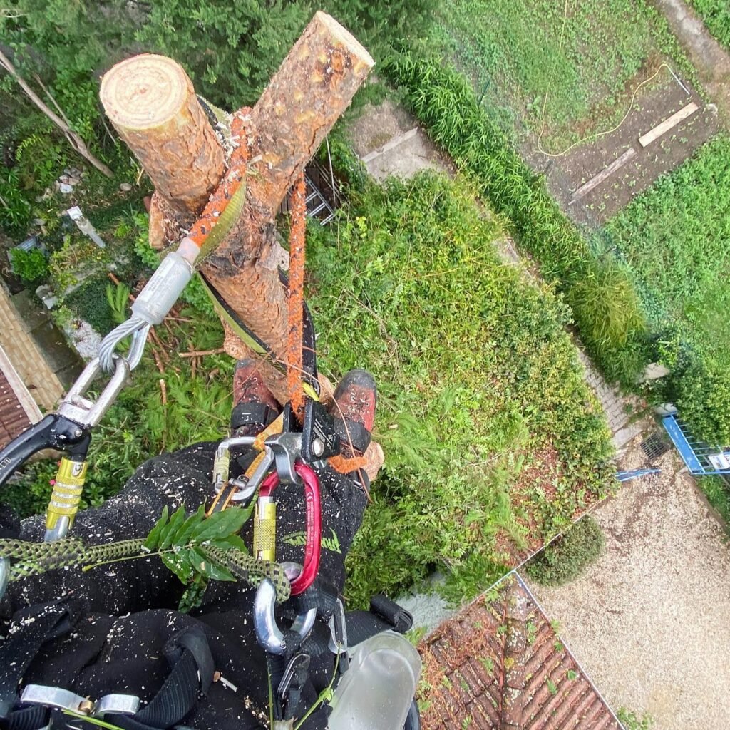 Instagram post from des_racines_a_la_cime. This post is in position 0.