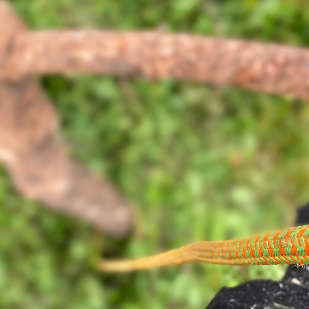 Instagram post from des_racines_a_la_cime. This post is in position 3.