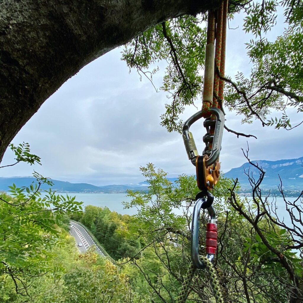 Instagram post from des_racines_a_la_cime. This post is in position 1.