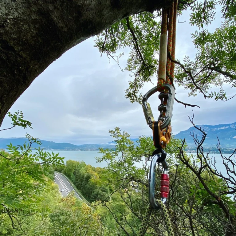 Instagram post from des_racines_a_la_cime. This post is in position 1.