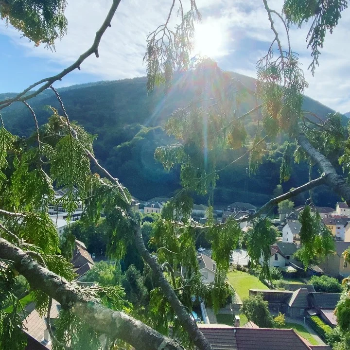 Instagram post from des_racines_a_la_cime. This post is in position 2.