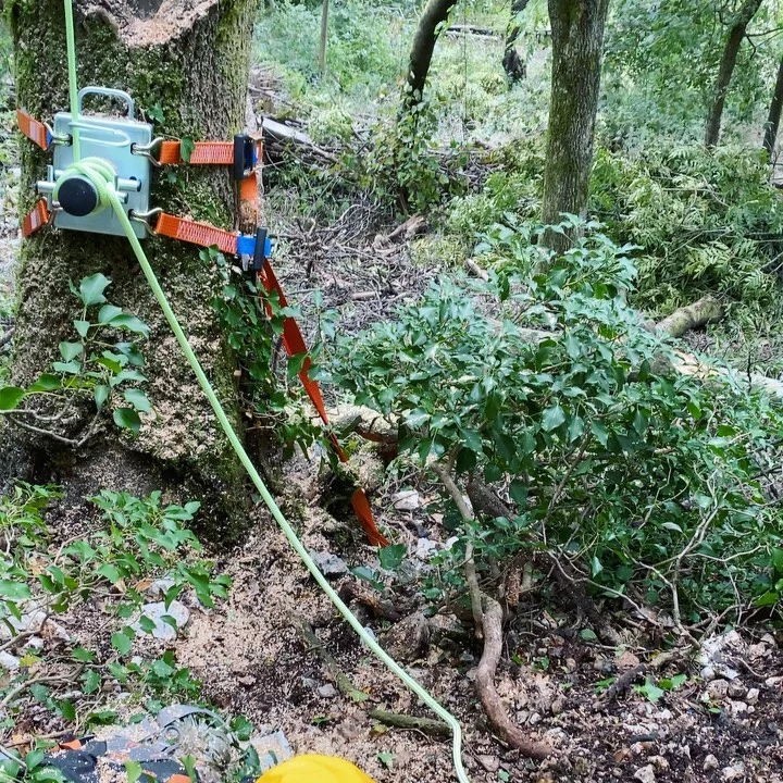 Instagram post from des_racines_a_la_cime. This post is in position 8.