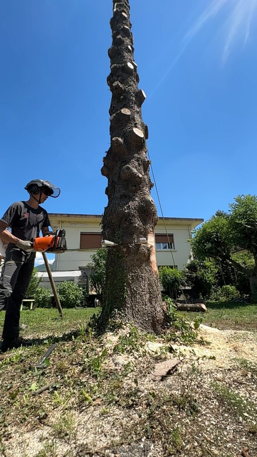 Instagram post from des_racines_a_la_cime. This post is in position 1.